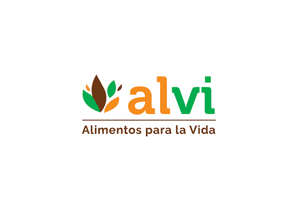 Portada del proyecto alvionline.co